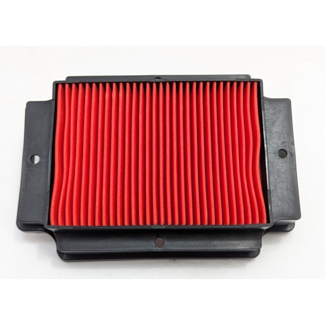 AIR FILTER - CHINCHILLA 300