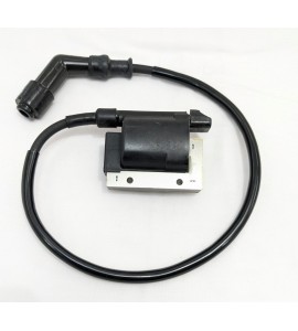 Ignition Coil - UXV 500i - Clearance