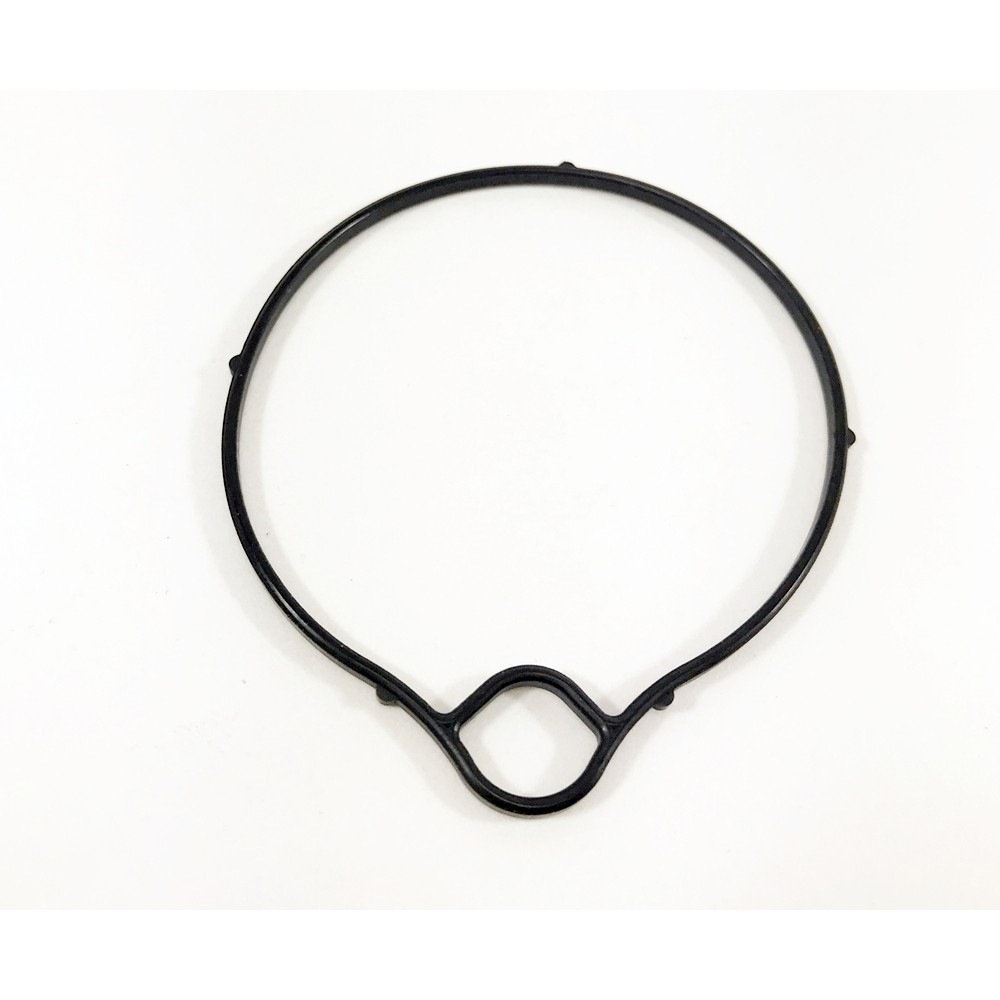 Buddy 50 and Roughhouse 50 float bowl oring 1051KG8H9010