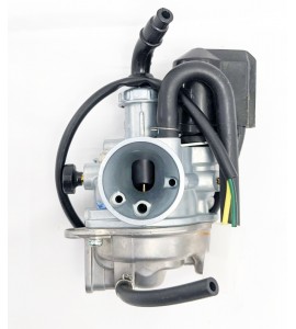 Carburetor - Buddy 50