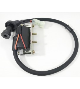 Ignition Coil- Hooligan 170i Ignition Coil- Hooligan 170i