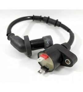 Ignition Coil- Buddy 125/Buddy 150 Ignition Coil- Buddy 125/Buddy 150