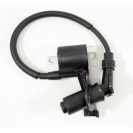 Ignition Coil- Buddy Kick