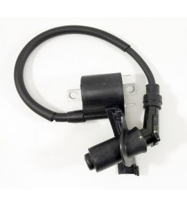 Ignition Coil- Buddy Kick Ignition Coil- Buddy Kick
