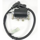 Ignition Coil - Buddy 170i
