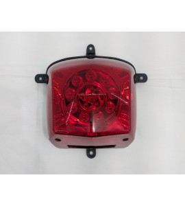 Taillight Assembly - Hooligan 170i Taillight Assembly - Hooligan 170i