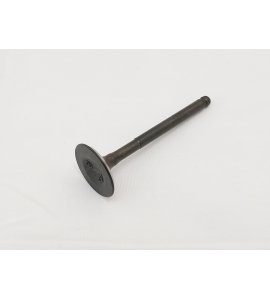 Intake Valve - Buddy 125 Intake Valve - Buddy 125