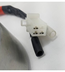 Magneto Assembly- Buddy 125/Buddy 150