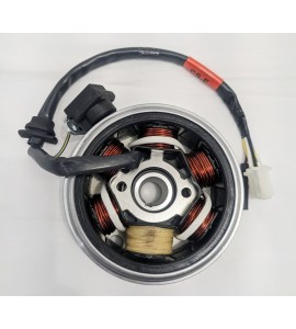 Magneto Assembly- Buddy 125/Buddy 150 Magneto Assembly- Buddy 125/Buddy 150