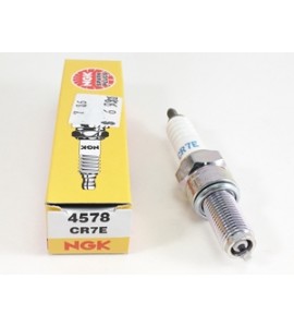 Spark Plug- NGK CR7E- Buddy Kick