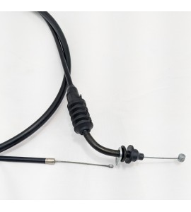 Axenor Speedometer Cable 25050-22G01