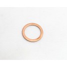 Washer - Cam Tensioner Cap - V100 / Stelvio