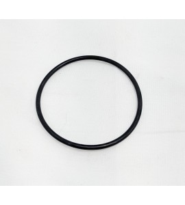 Thermostat O-Ring- V100