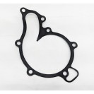 Water Pump Gasket- V100 Mandello