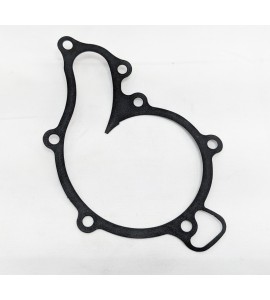 Water Pump Gasket- V100 Mandello