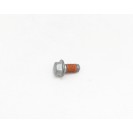 Cam Gear Bolt - V100 / Stelvio