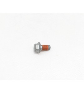Cam Gear Bolt - V100 / Stelvio