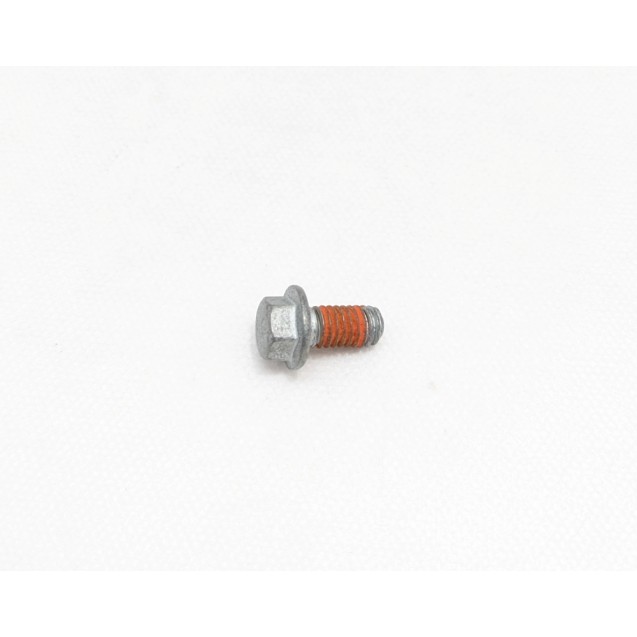 Cam Gear Bolt - V100 / Stelvio