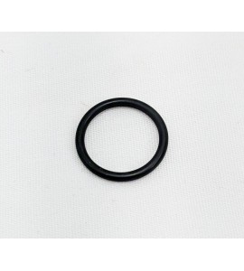 Lower Alternator Pulley O-ring- V100