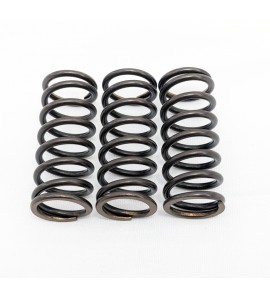 Clutch Spring Set- V100 Clutch Spring Set- V100