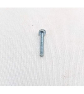 Screw - Switch Mounting - Guzzi Screw - Switch Mounting - Guzzi