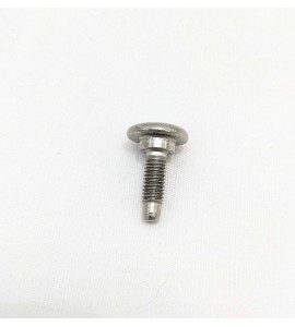 Screw - Bodywork - Moto Guzzi - 5m x 12m Screw - Bodywork - Moto Guzzi - 5m x 12m