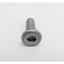 BRAKE ROTOR BOLT - REAR - CALIFORNIA 1400