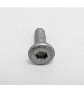 BRAKE ROTOR BOLT - REAR - CALIFORNIA 1400