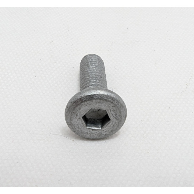 BRAKE ROTOR BOLT - REAR - CALIFORNIA 1400