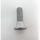 BRAKE ROTOR BOLT - REAR - CALIFORNIA 1400
