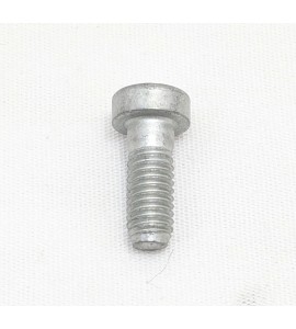 Allen Bolt - 6x16 - Moto Guzzi Allen Bolt - 6x16 - Moto Guzzi