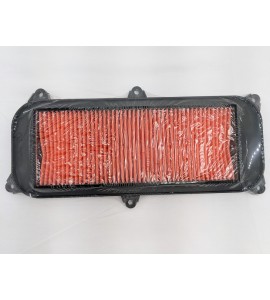 Air Filter - Yager / Grand Vista / Xciting 250