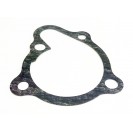 Water Pump Cover Gasket - 250, 270, 300