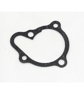 Water Pump Cover Gasket - 250, 270, 300