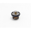 Thermostat - 200/250/300 Models*