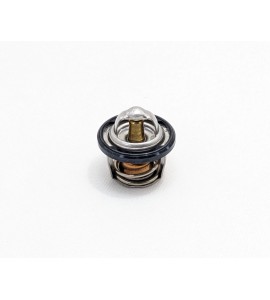 Thermostat - 200/250/300 Models*