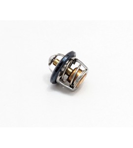 Thermostat - 200/250/300 Models*