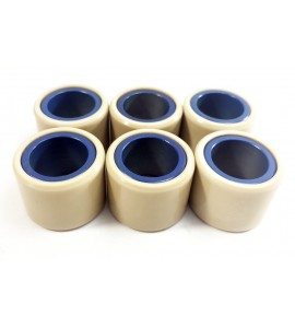 Roller Weights - Xciting 500, 500Ri