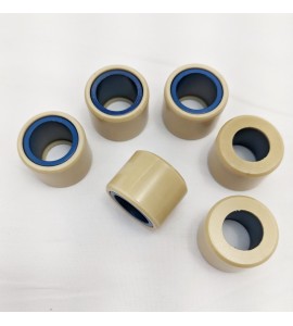 Roller Weights - Xciting 500, 500Ri