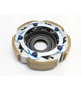 Clutch Drive Plate Assembly- Xciting 500