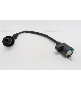 IGNITION COIL - PEOPLE 150