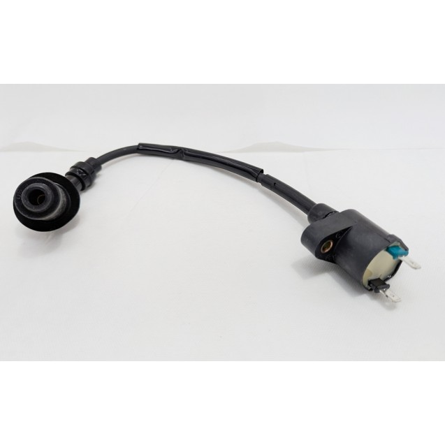 IGNITION COIL - PEOPLE 150