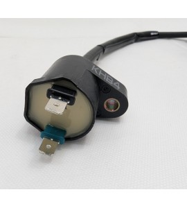 IGNITION COIL - PEOPLE 150