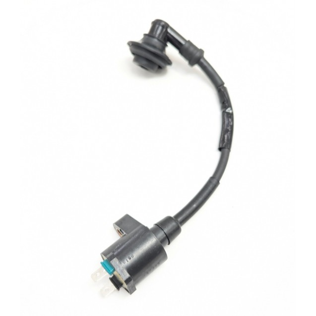 Ignition Coil Assy - Mongoose 50 *see description