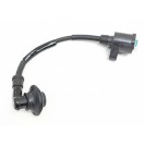 Ignition Coil Assy - Mongoose 50 *see description