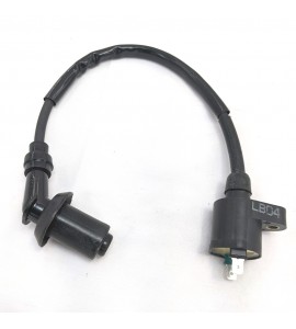 Ignition Coil - Mongoose 70 / 90 Ignition Coil - Mongoose 70 / 90