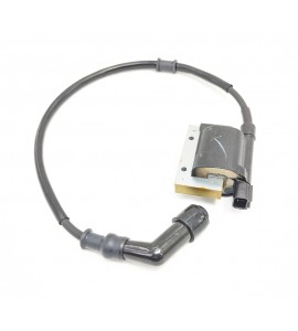 Ignition Coil Assy - MXU 450i *see description