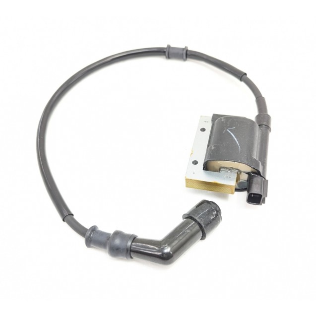 Ignition Coil Assy - MXU 450i *see description