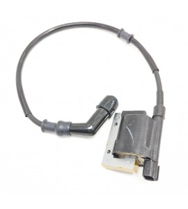 Ignition Coil Assy - MXU 450i *see description Ignition Coil Assy - MXU 450i *see description