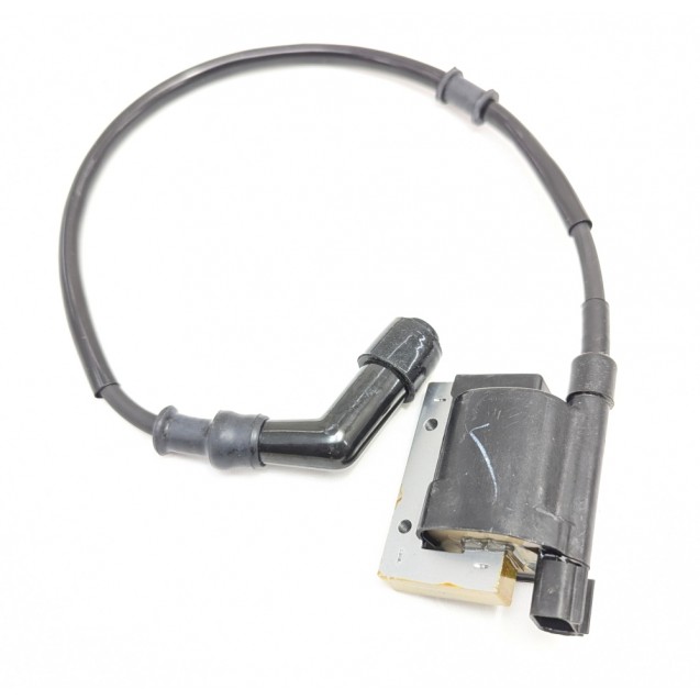 Ignition Coil Assy - MXU 450i *see description